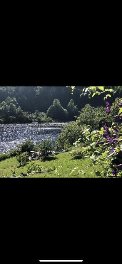 פורסגרון Glamping On Idyllic Lake, Paddle Boards & Rowboat מראה חיצוני תמונה