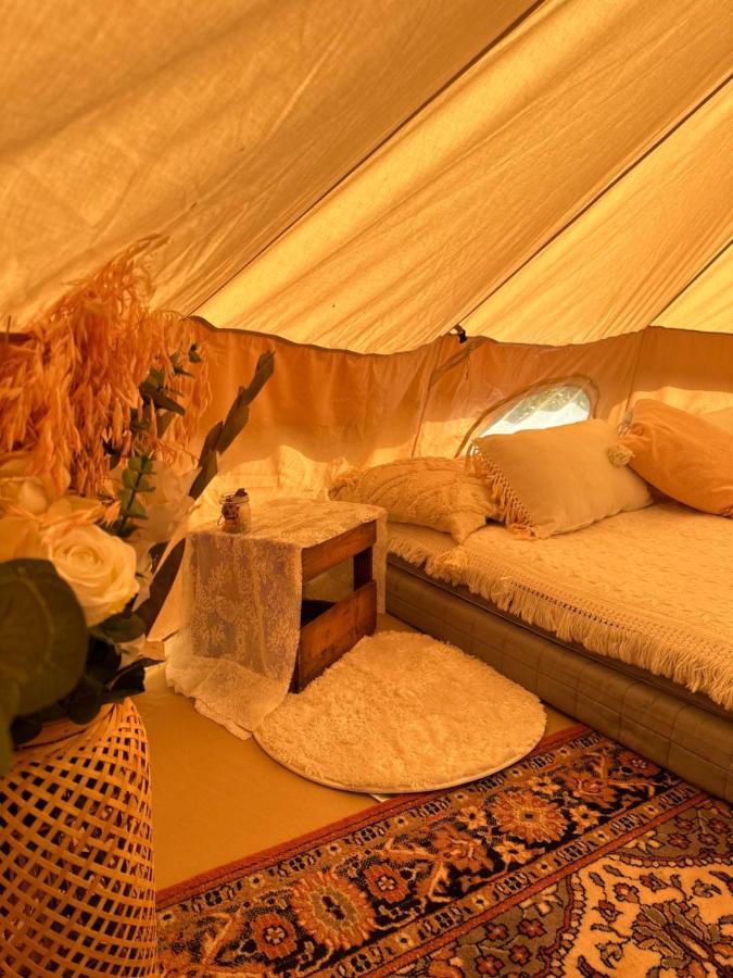 פורסגרון Glamping On Idyllic Lake, Paddle Boards & Rowboat מראה חיצוני תמונה